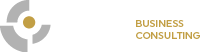 CSI Business Consulting